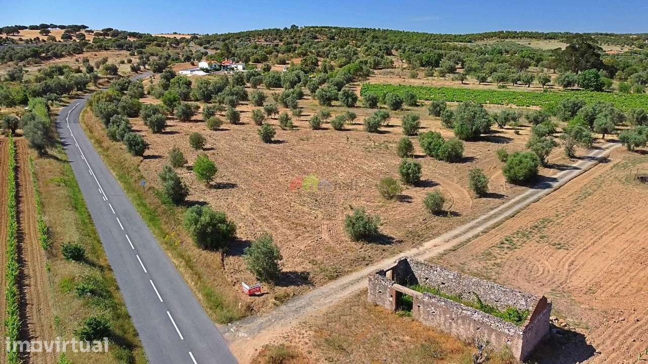 Terreno de 0,5ha com Olival e Potencial Turístico – Vila Alva - Grande imagem: 2/24