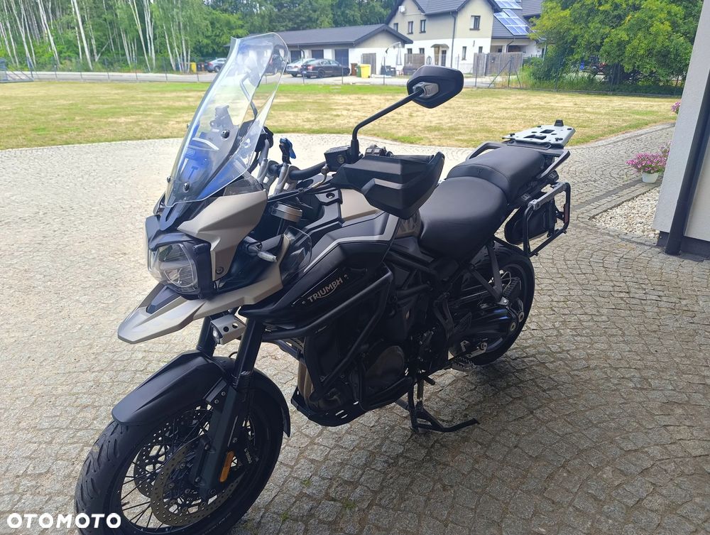Triumph Inny - 20