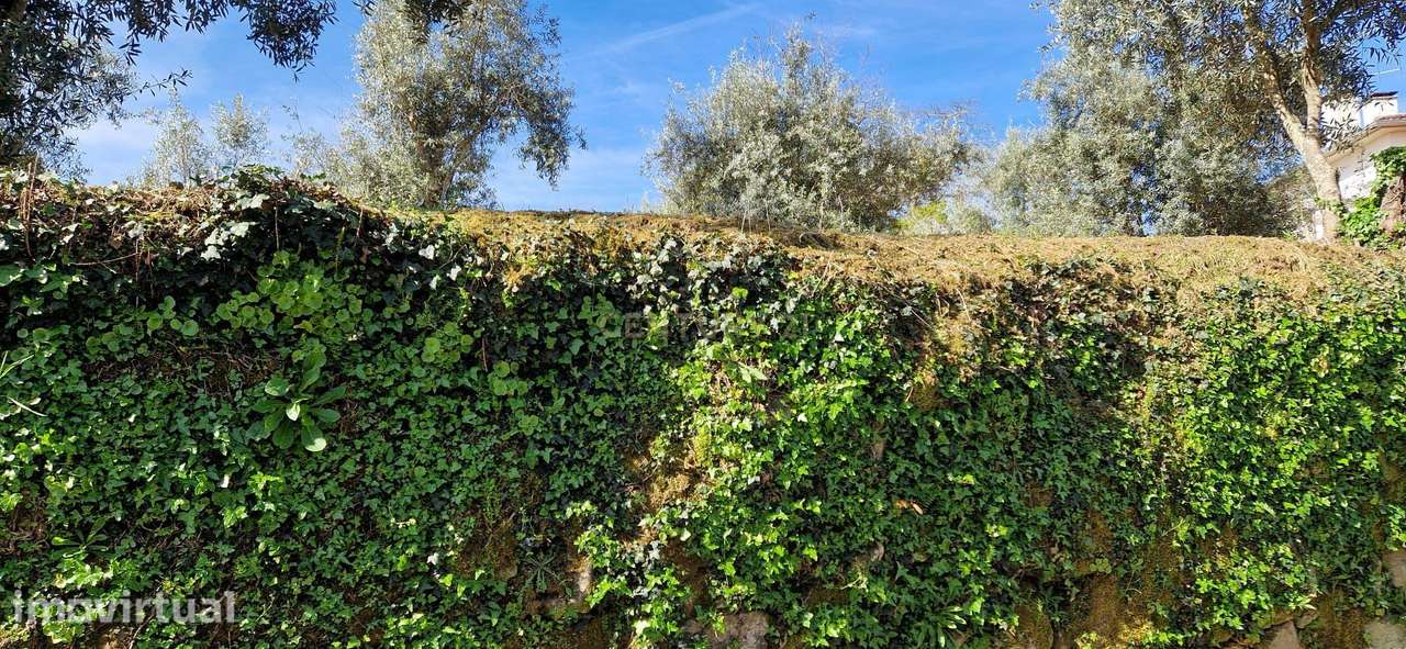 Terreno para moradia em Sarzedelo, Viseu - Grande imagem: 3/6
