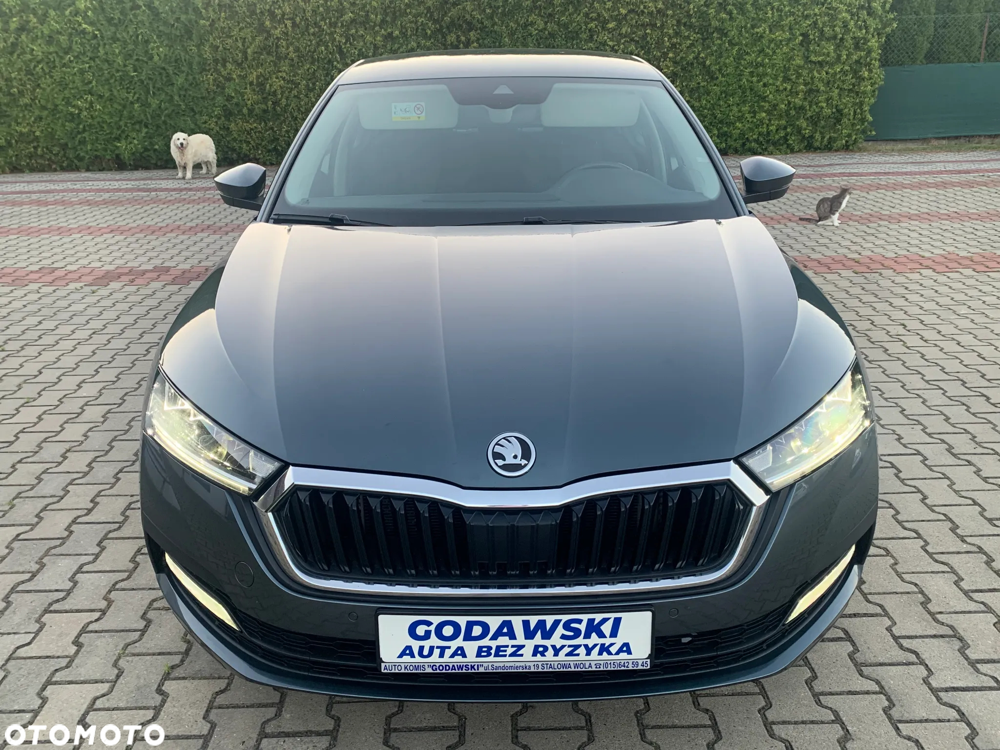 Skoda Octavia 1.5 TSI ACT Ambition - 3