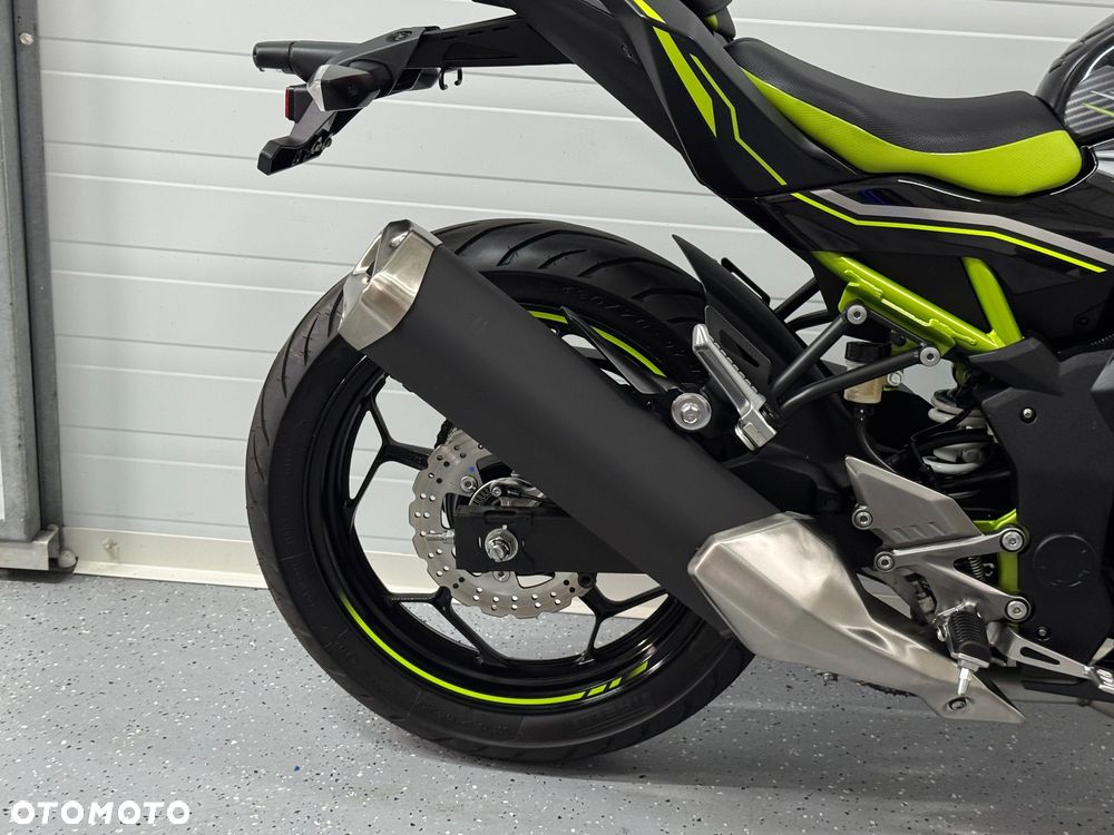 Kawasaki Z - 6
