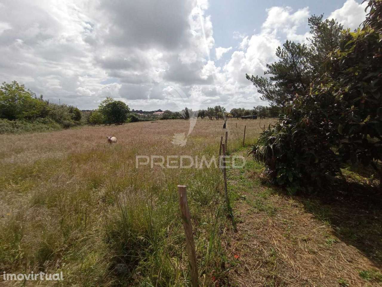 Quinta na Aldeia de São Luís - Odemira - Grande imagem: 4/32