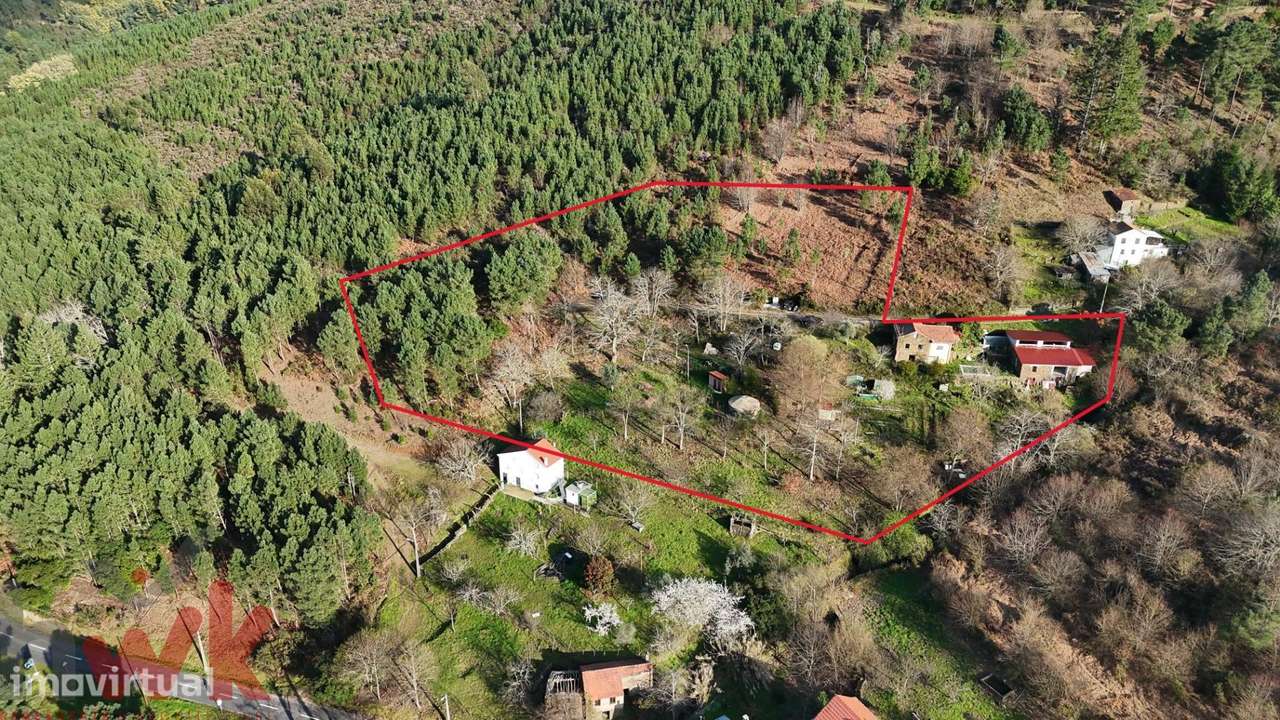 QUINTA 9.630m2, casa 54m2, anexo 104m2, com ribeiro - Grande imagem: 3/47