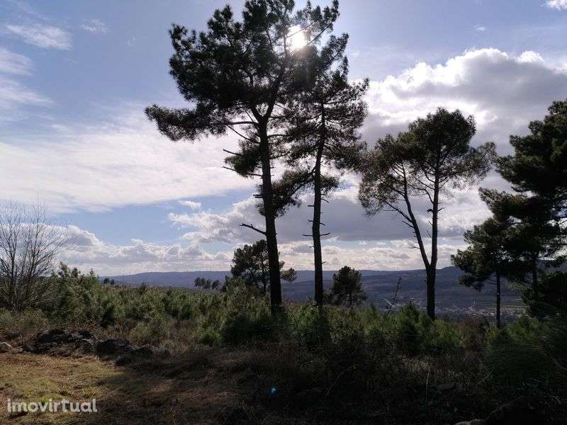 Terreno sito ao Pequito - Grande imagem: 3/7