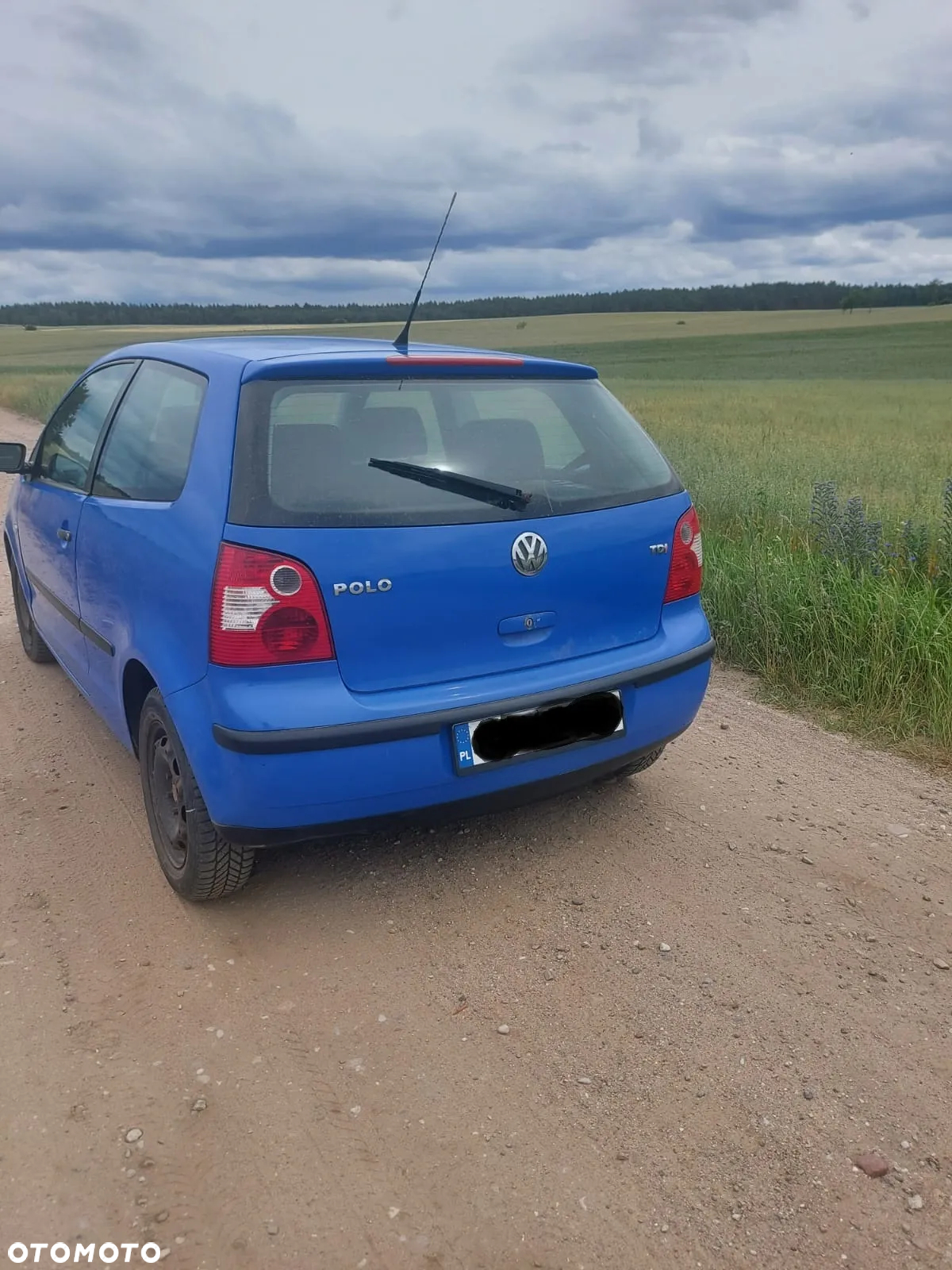 Volkswagen Polo - 7