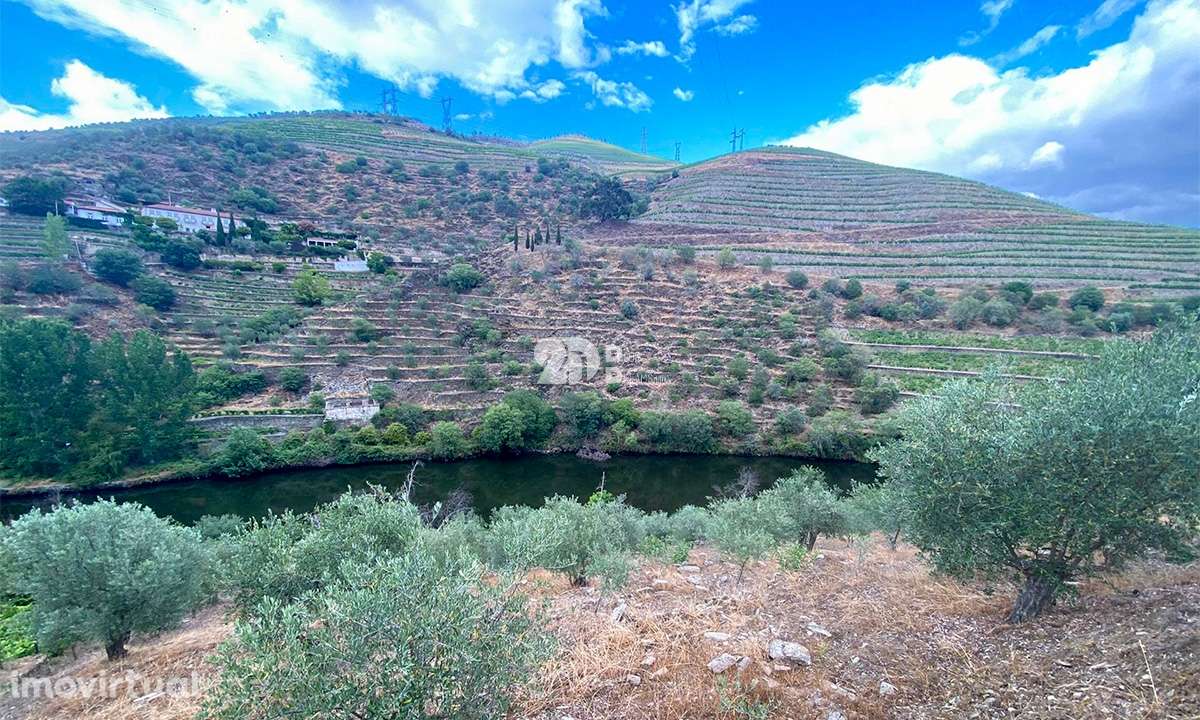 Terreno 12.600m² - Santo Aleixo - Grande imagem: 5/15