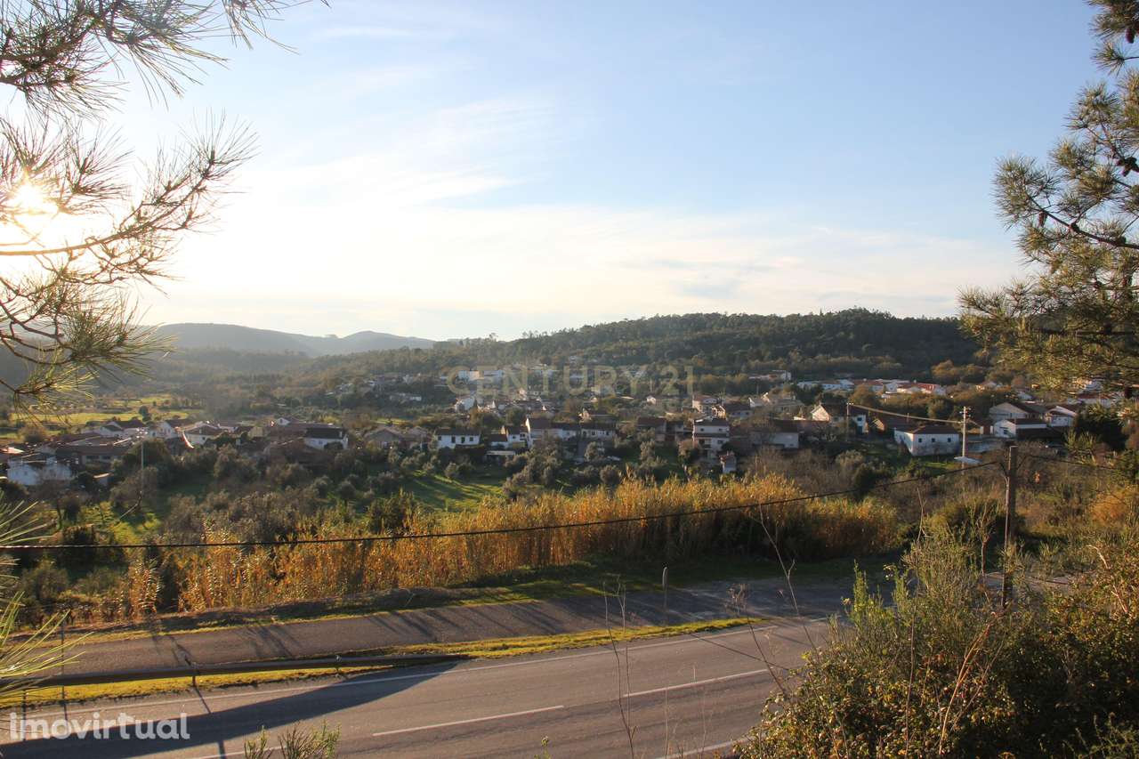 Fantástico terreno para moradia - Grande imagem: 4/13