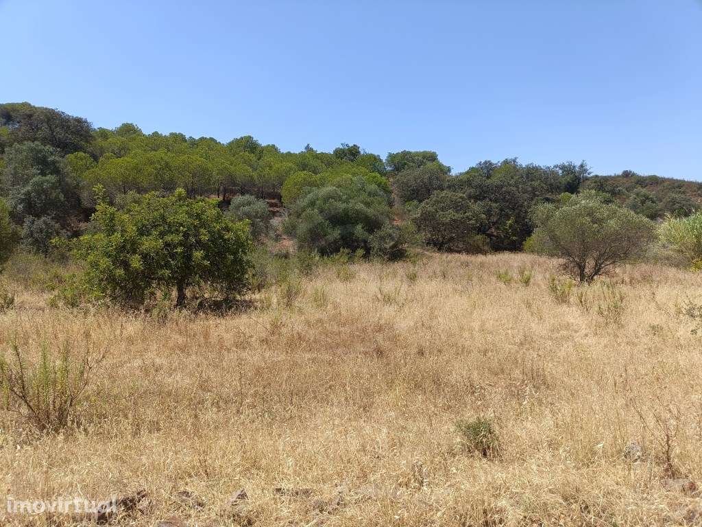 Terreno rústico no Malhão em Castro Marim, Algarve - Grande imagem: 3/10