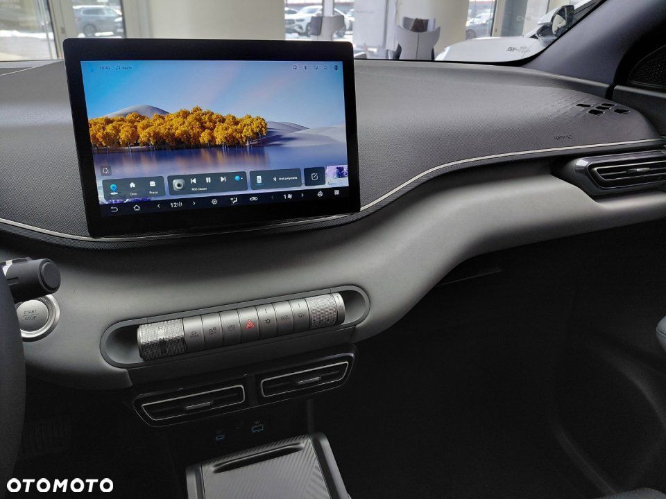 BYD Dolphin Surf - 12