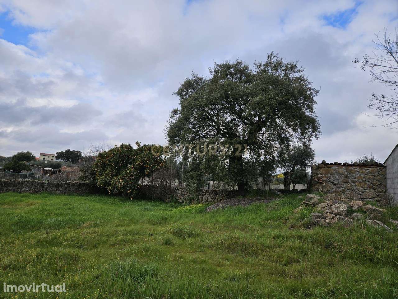 Quintinha na Lousa, Castelo Branco - Grande imagem: 4/41