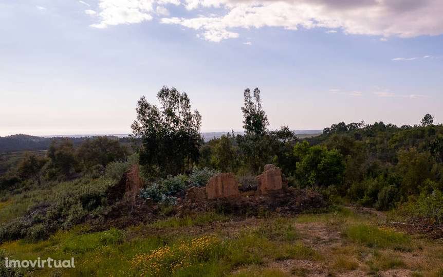 Quintinha Cercas do Pontal - Grande imagem: 3/7