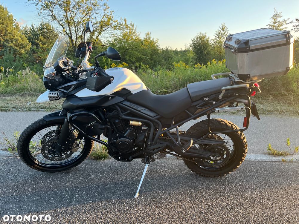 Triumph Tiger - 6