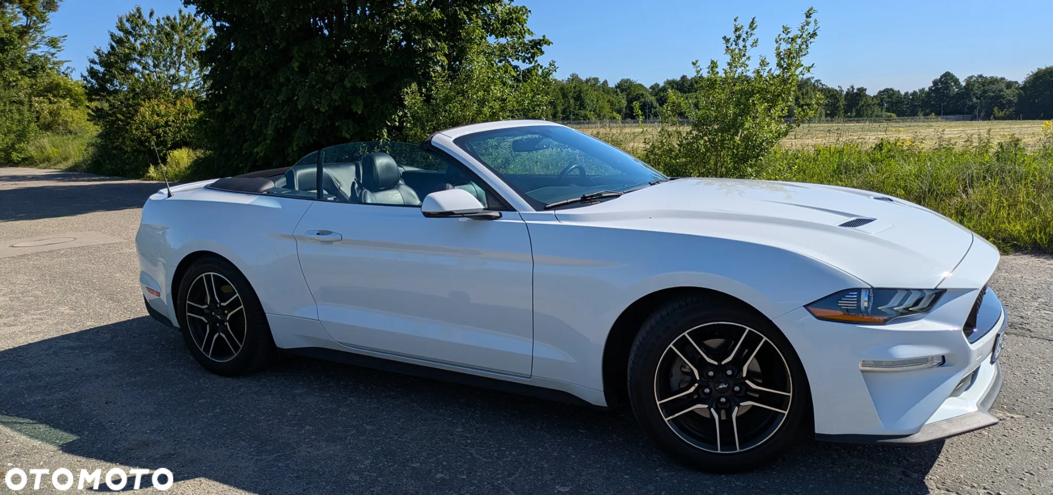 Ford Mustang 2.3 EcoBoost - 11