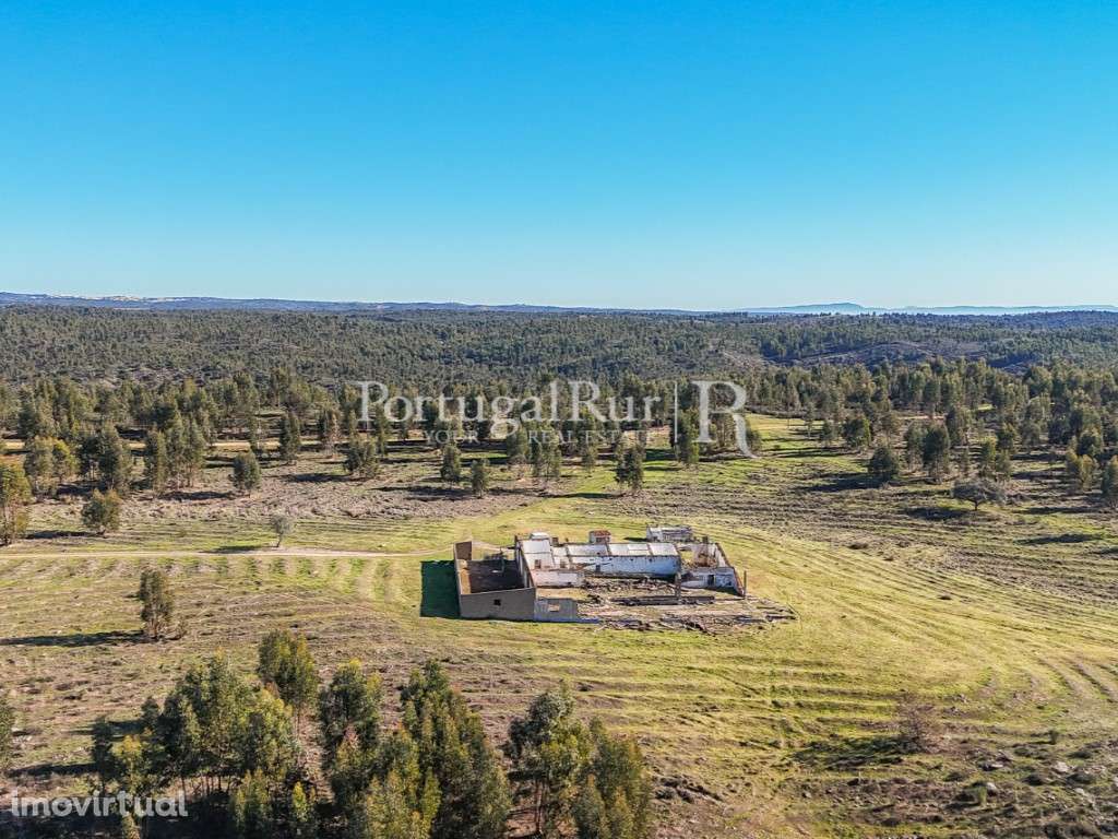 Herdade de 1000 ha com eucaliptal, ruínas e barragem - Grande imagem: 5/15