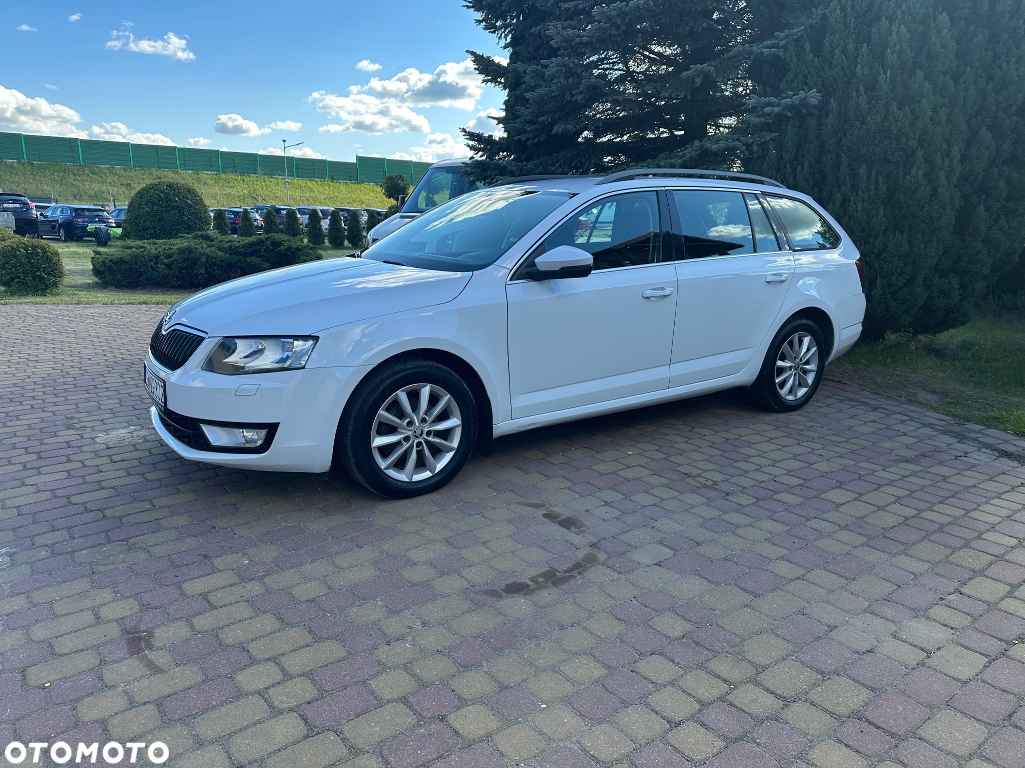 Skoda Octavia 1.6 TDI 4x4 Ambition - 3