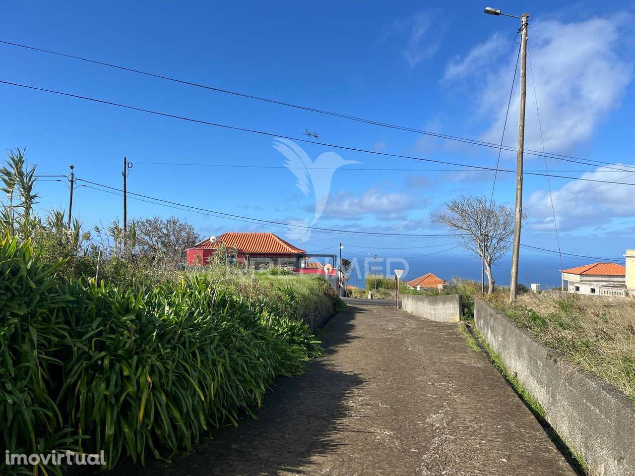 MORADIA + UM PALHEIRO PARA RECONSTRUÇÃO NA PONTA DO PARGO COM 670M2... - Grande imagem: 3/8