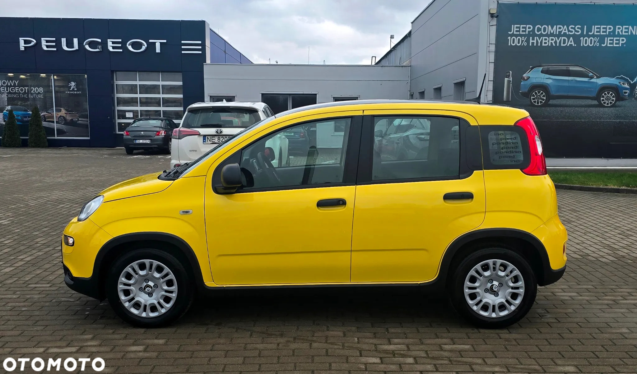 Fiat Panda - 2