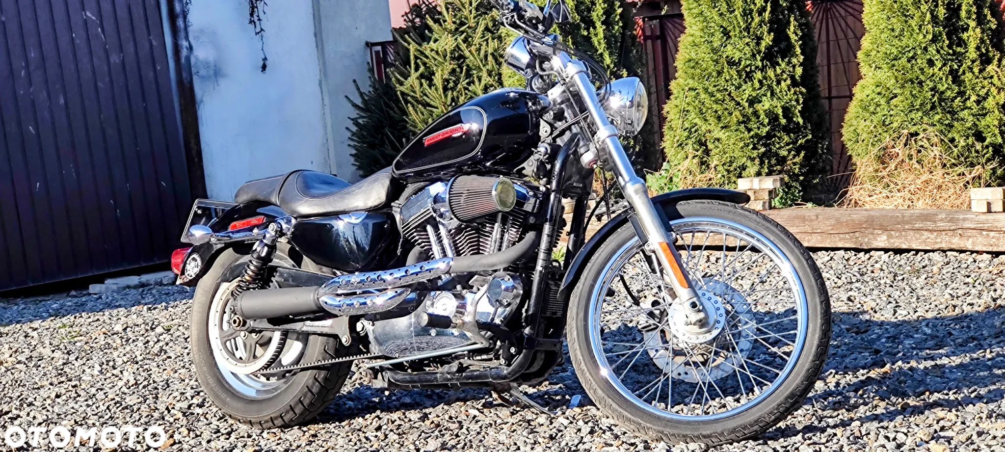 Harley-Davidson Sportster Custom 1200C - 1