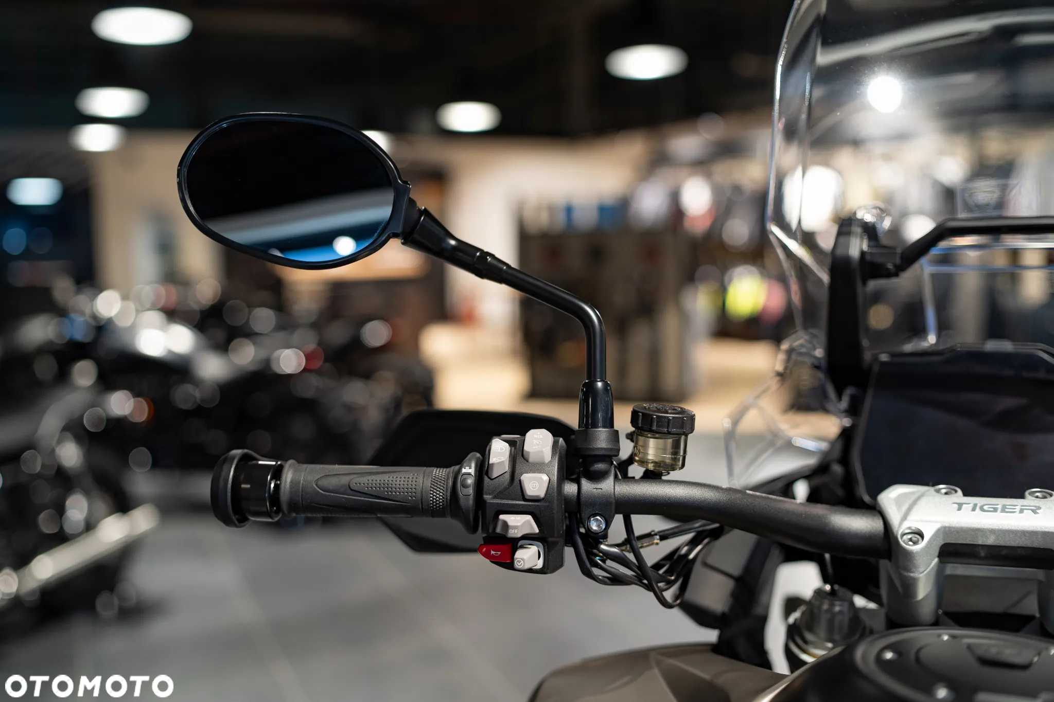 Triumph Tiger - 22