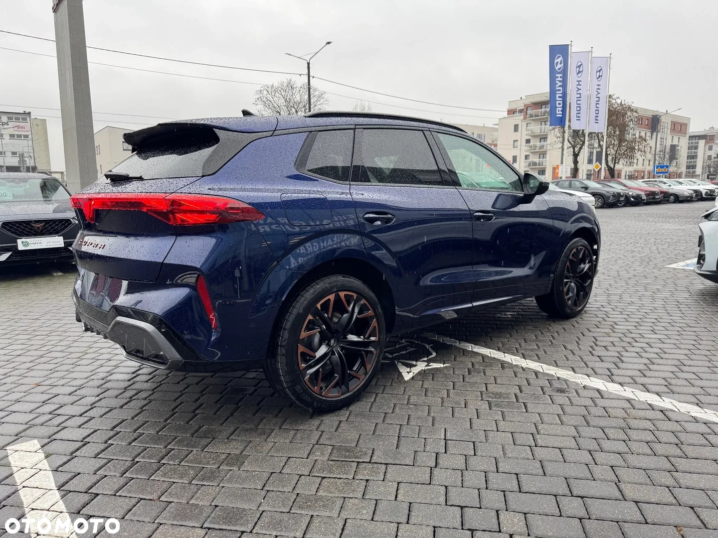 Cupra Terramar 2.0 TSI 4Drive DSG - 4
