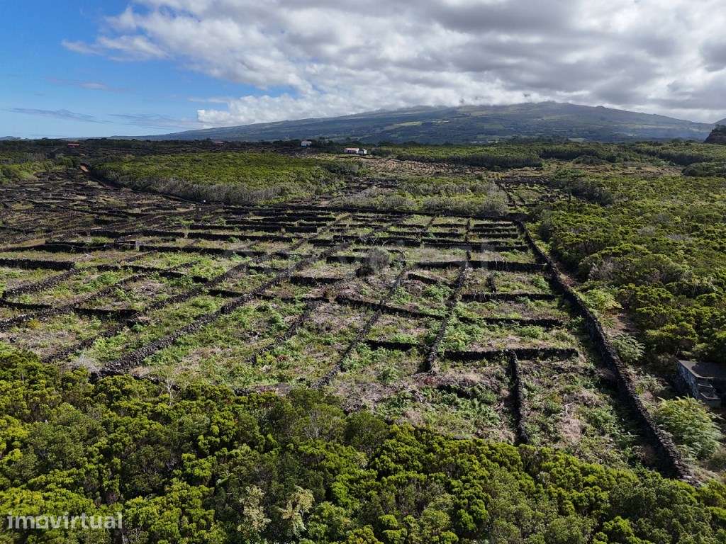 Terreno com 5.015 m², viabilidade de construção e vista mar - Canad... - Grande imagem: 5/14