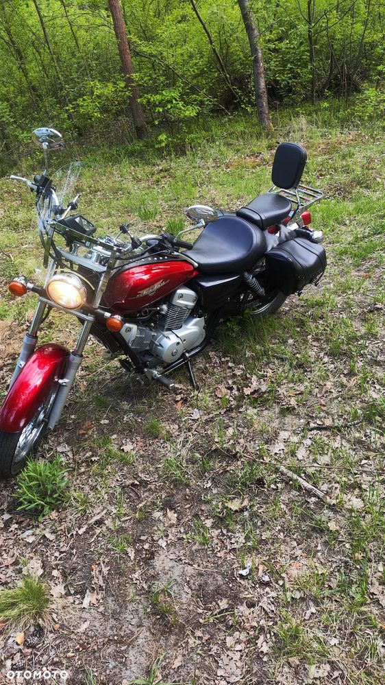 Honda Shadow - 6