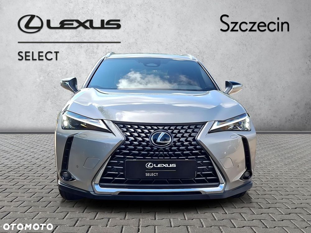 Lexus UX 300h Business - 8