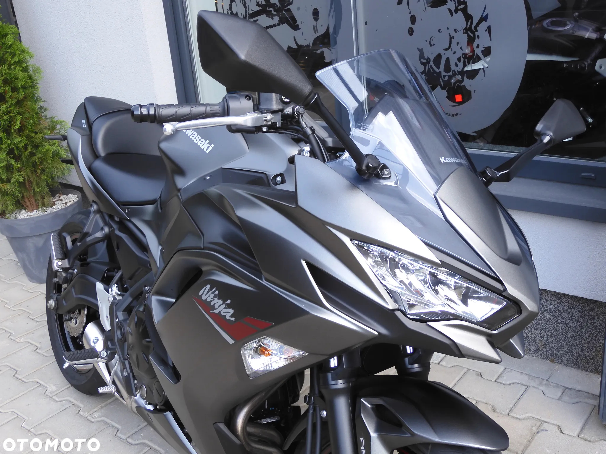 Kawasaki Ninja - 2