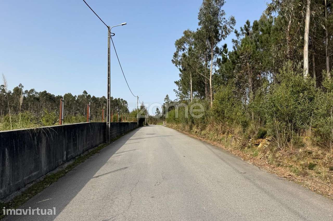 Terreno, em Arada - Ovar - Grande imagem: 4/12