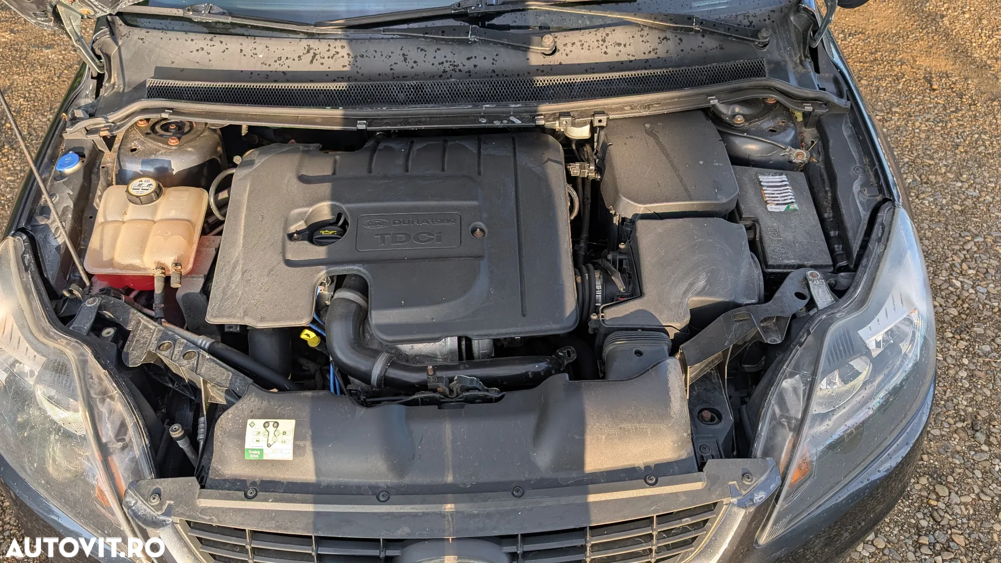 Ford Focus - 6