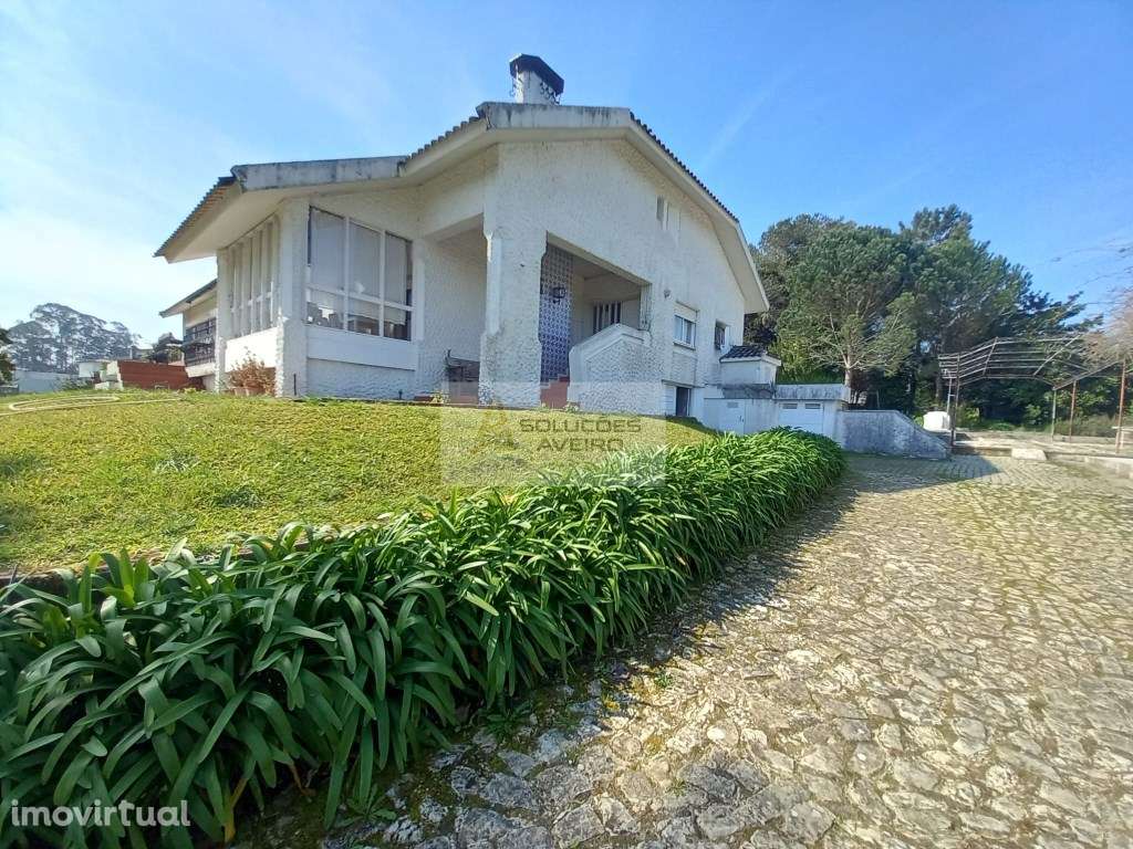 QUINTA EXCECIONAL COM 34.000 m² NO DISTRITO DE AVEIRO UM ATIVO ÚNIC... - Grande imagem: 5/60