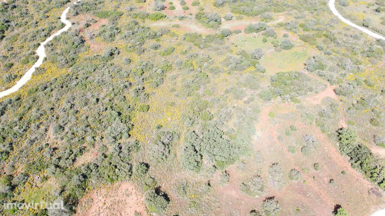 Terreno Rústico com 4950 m2 localizado em Monteiros, São Sebastião, Lo - Grande imagem: 2/8