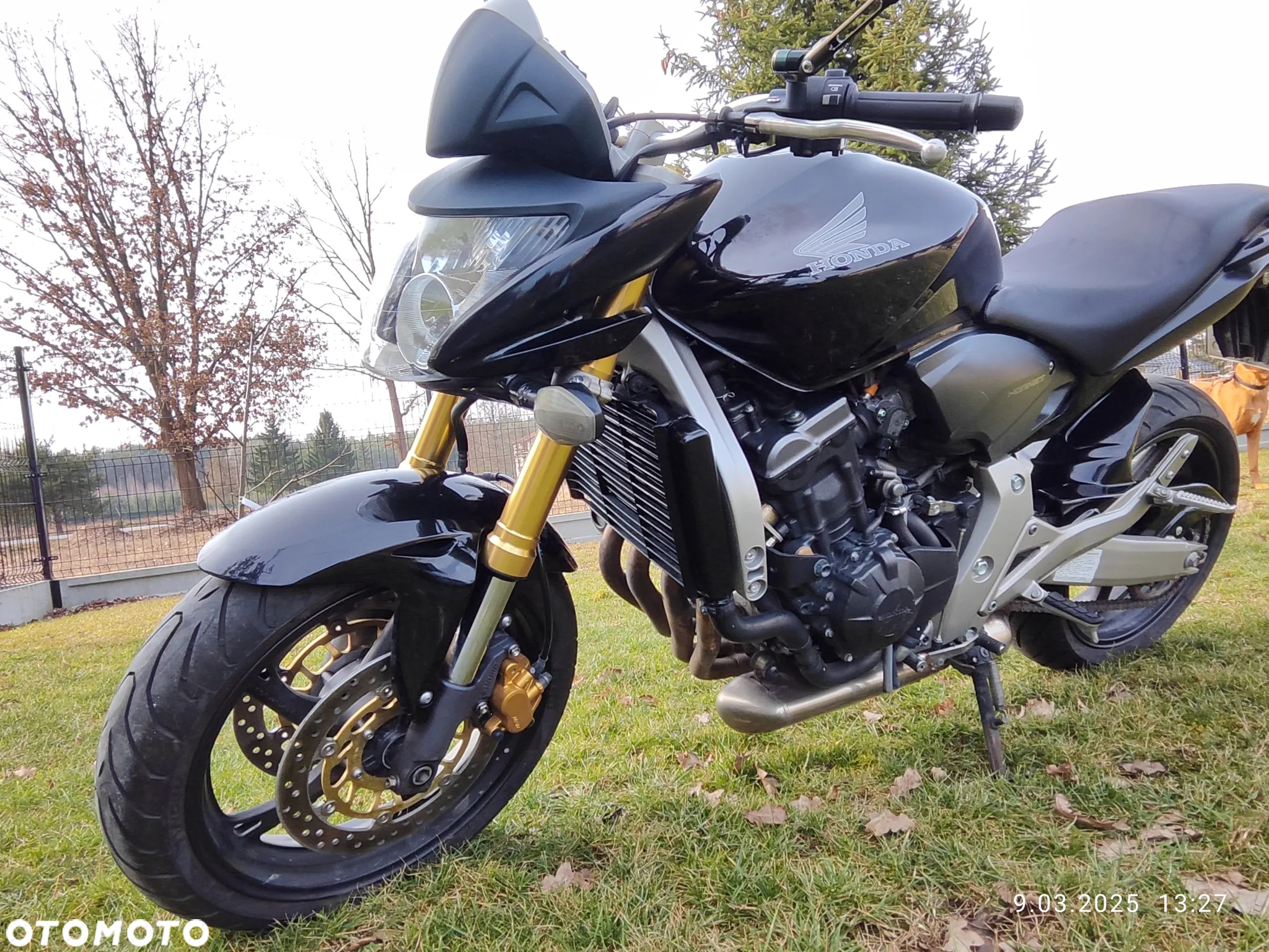 Honda Hornet - 11