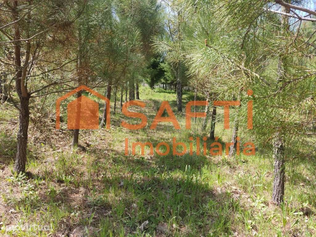 Terreno urbano em Casal de Cinza - Grande imagem: 3/20