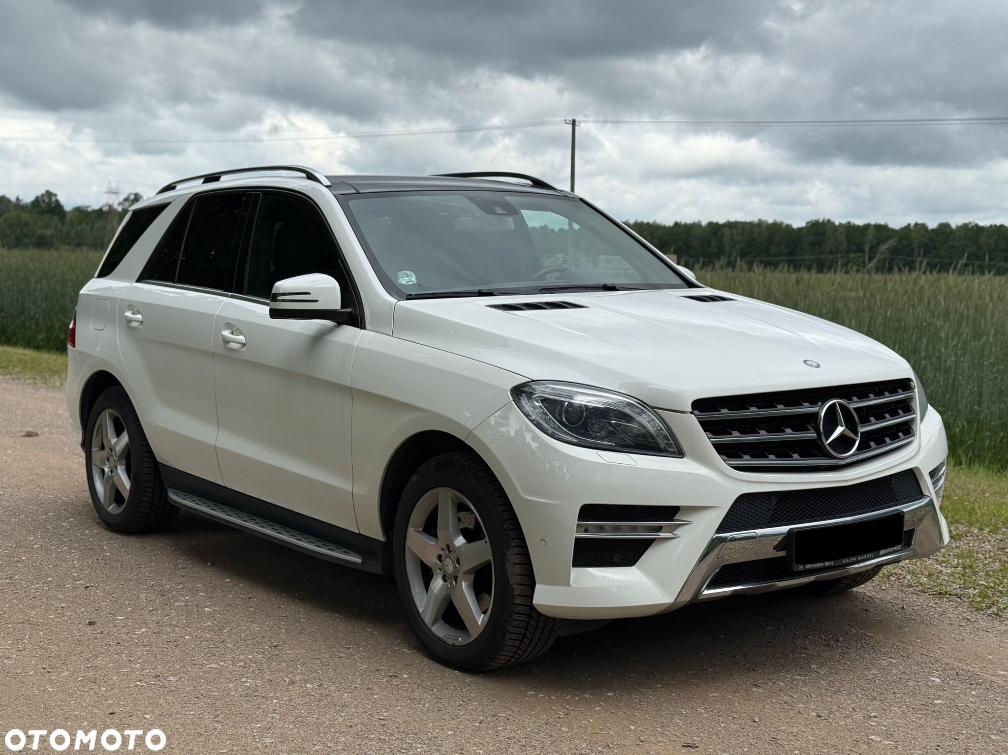 Mercedes-Benz ML 350 BlueTec 4-Matic - 8