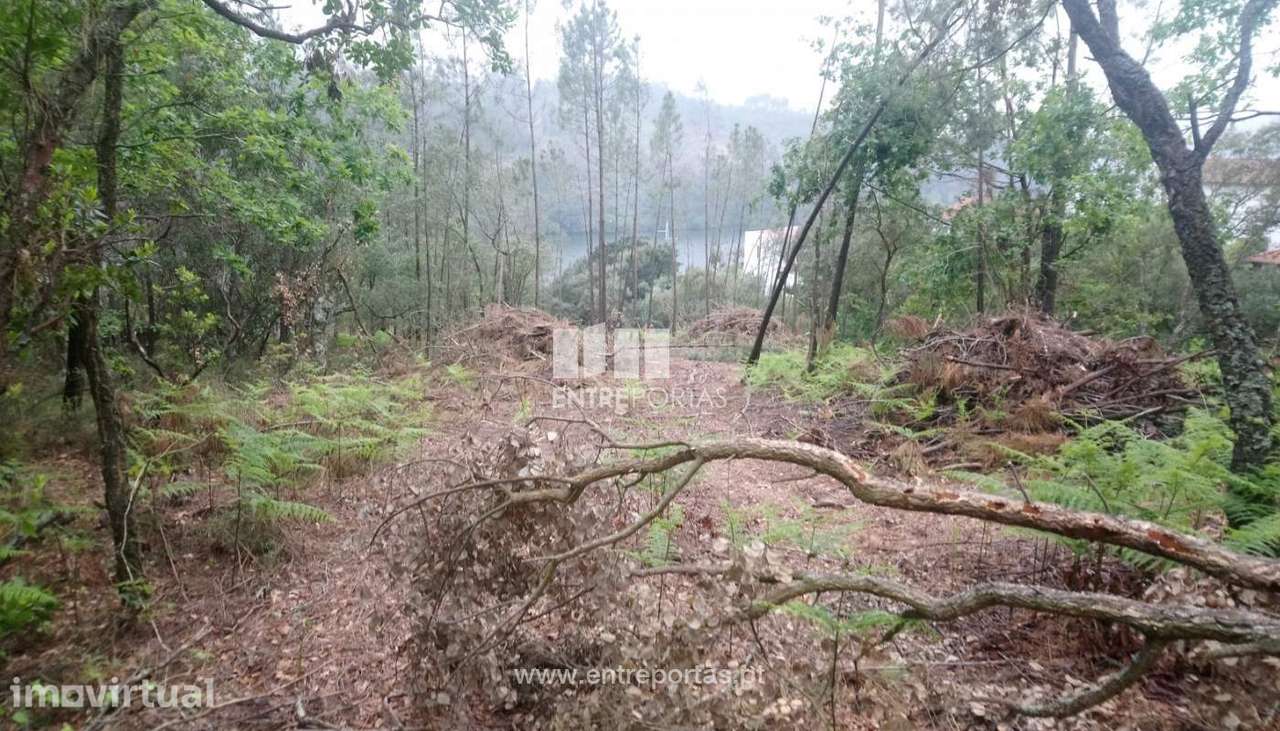 Venda Terreno, vista rio, Rio Mau, Penafiel - Grande imagem: 2/15
