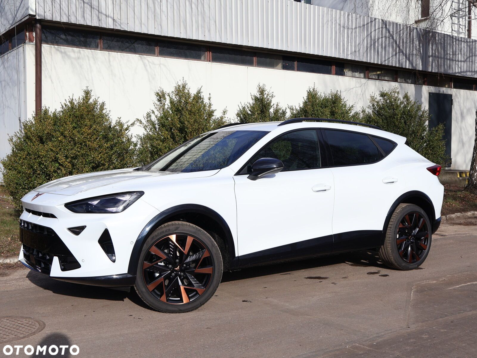 Cupra Formentor 1.5 eTSI mHEV DSG - 3