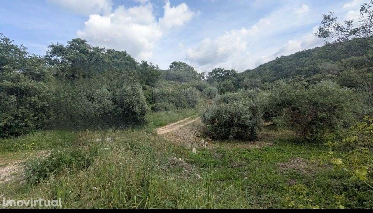 Terreno  para venda - Grande imagem: 5/8