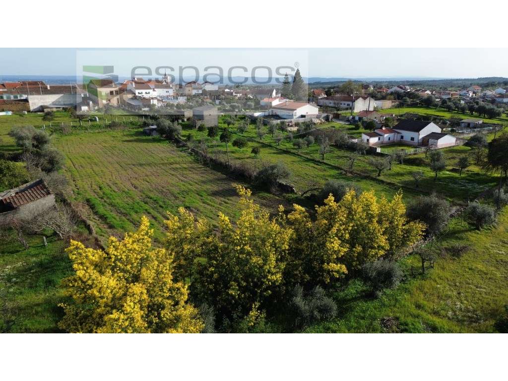 Quinta rural no centro da aldeia - Mata - Grande imagem: 2/10
