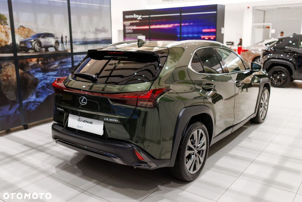 Lexus UX 300h F Sport Design - 19