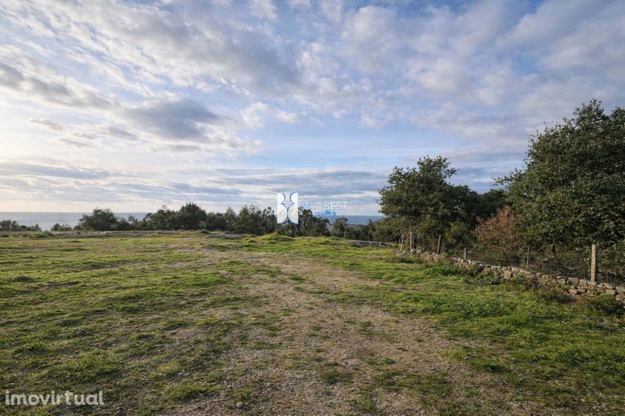 TERRENO COM 10.031  M2 EM BURGAES, SANTO TIRSO - Grande imagem: 5/11