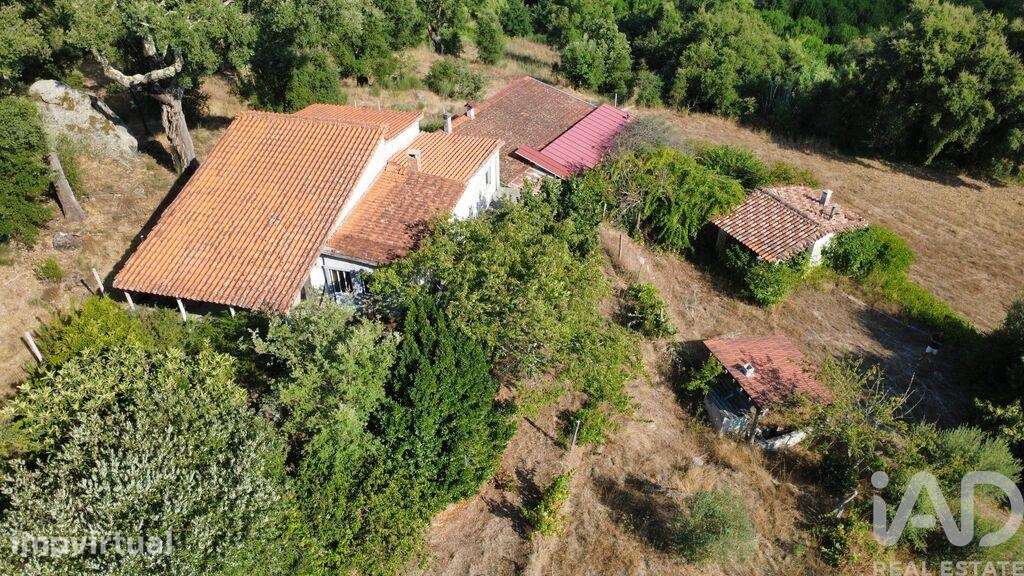 Terreno Agrícola em Midões - Grande imagem: 2/31