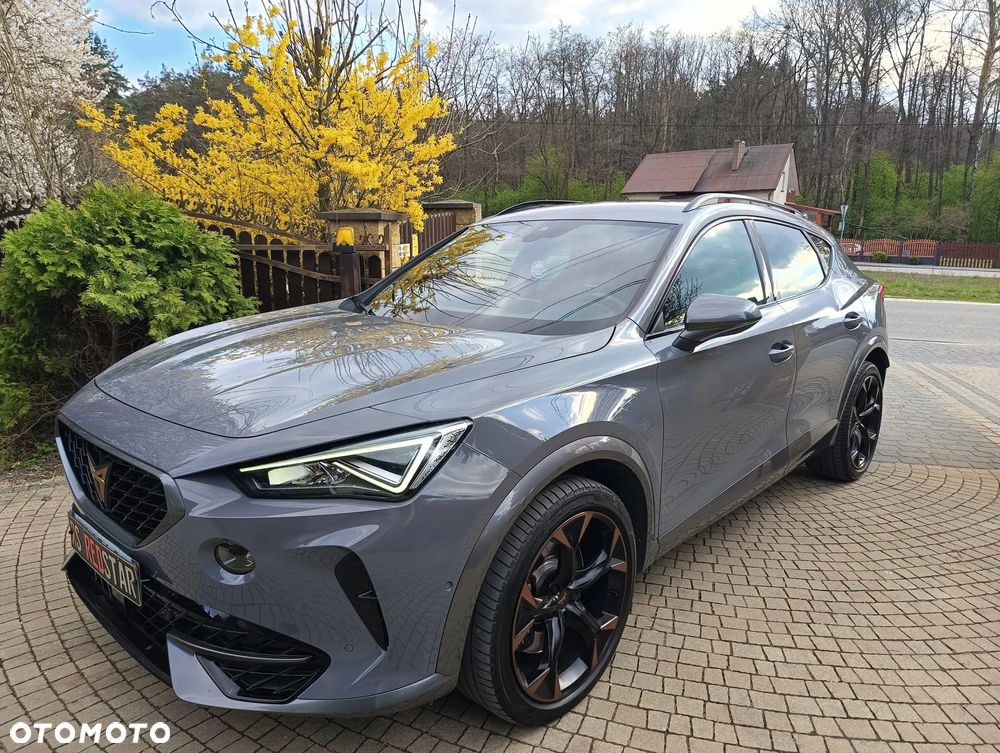 Cupra Formentor VZ 2.0 TSI DSG - 29