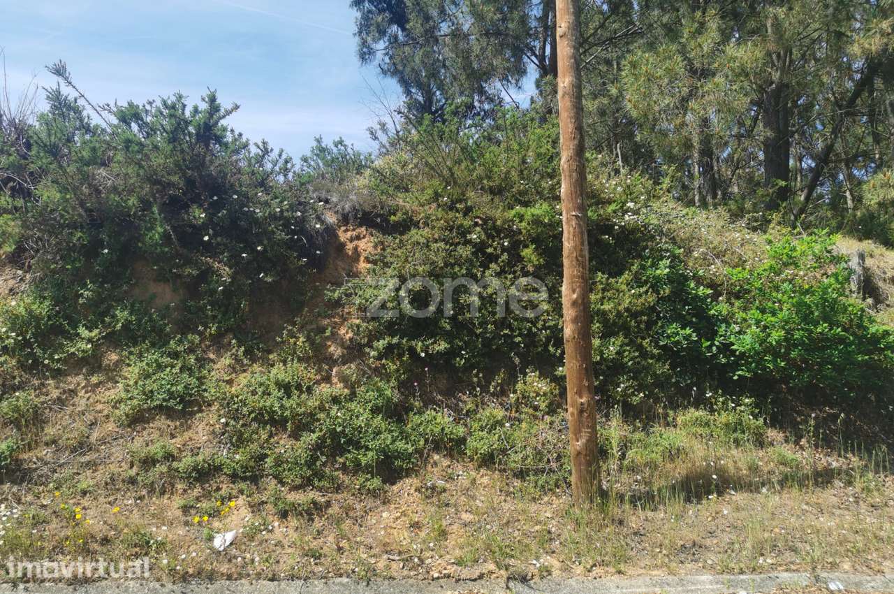 Terreno, para construção, frente para Estrada Real, Recardães, Águe... - Grande imagem: 5/31