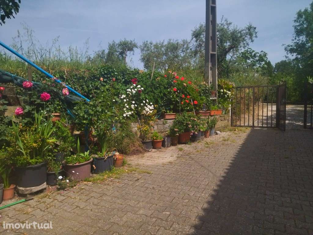 Quinta com Duas Casas e Grande Potencial - Serra da Gardunha, Fundão - Grande imagem: 5/31