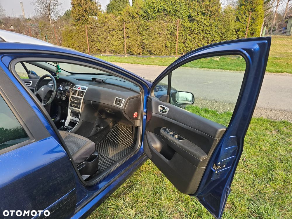 Peugeot 307 2.0 - 21
