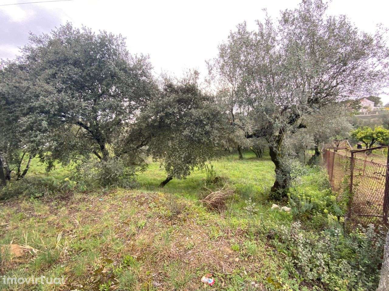 Terreno para construção - Grande imagem: 2/2