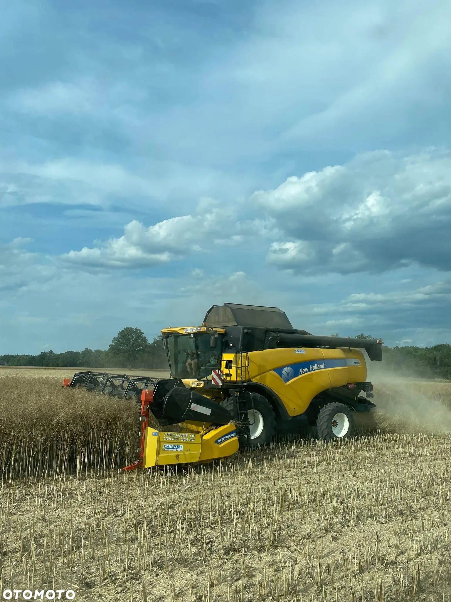 New Holland New Holland CX 860 SL heder 7,3m wozek stol rzepak - 1