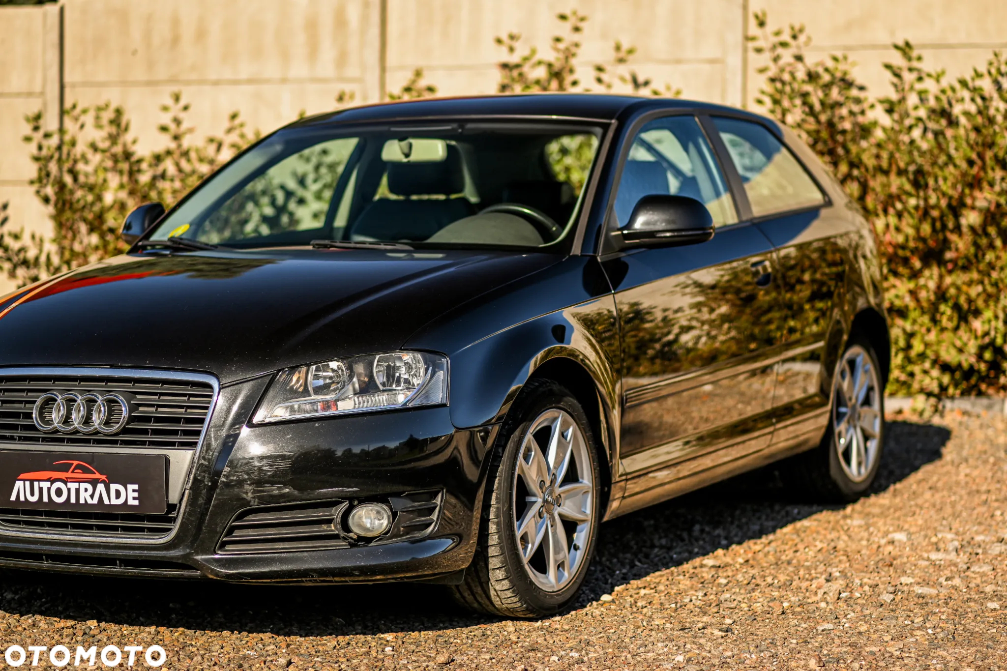 Audi A3 1.6 TDI Ambition - 7