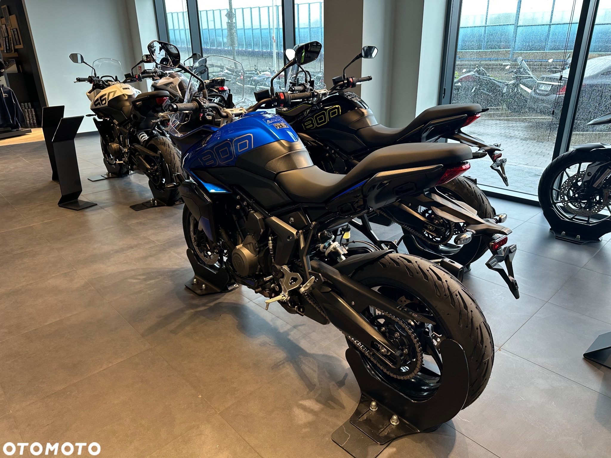 Triumph Tiger - 3